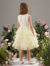 Narciso