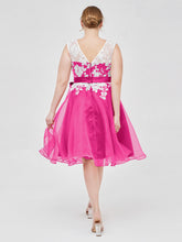 Fucsia