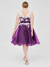Viola