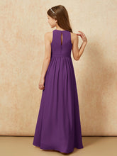 Viola