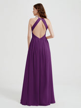 Viola