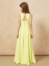 Narciso