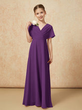 Viola