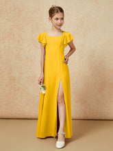Calendula