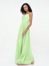 Salvia