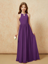 Viola