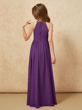 Viola