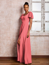 Cocomero