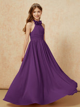 Viola
