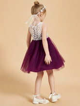 Eleganti Abiti Da Damigella Senza Maniche In Pizzo E Tulle