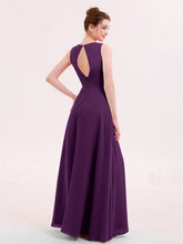 Viola