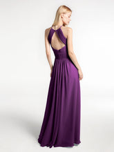 Viola