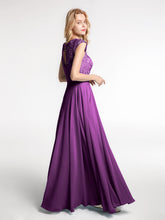 Viola