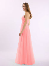 Fenicottero