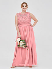 Fenicottero