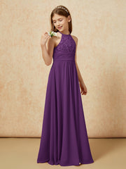 Viola