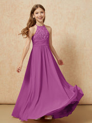 Orchidea