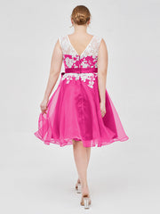 Fucsia