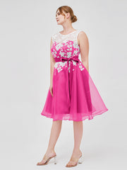 Fucsia