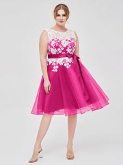 Fucsia
