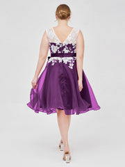 Viola