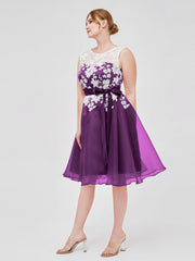Viola