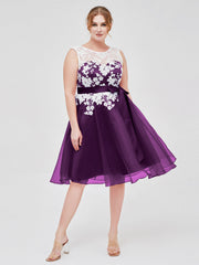Viola