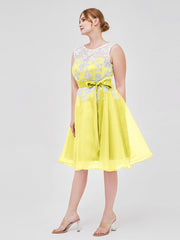 Limone
