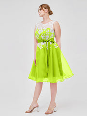 Verde Lime