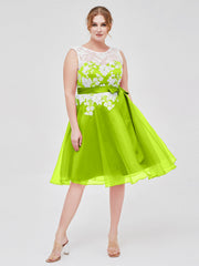 Verde Lime