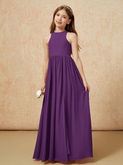 Viola