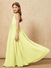 Narciso