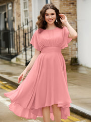 Fenicottero