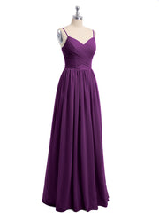 Viola