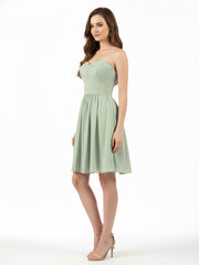 Salvia Polvere