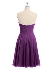 Viola