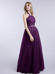 Viola