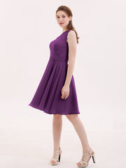 Viola