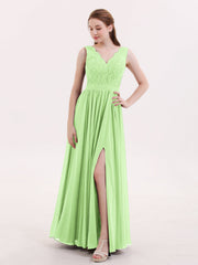 Salvia
