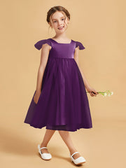 Viola