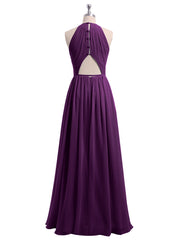 Viola