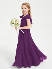 Viola