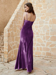 Viola