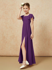 Viola