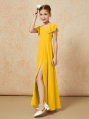 Calendula