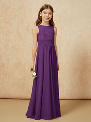Viola