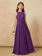 Viola