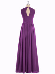 Viola