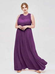 Viola