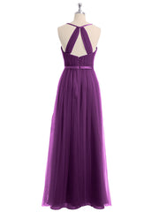 Viola